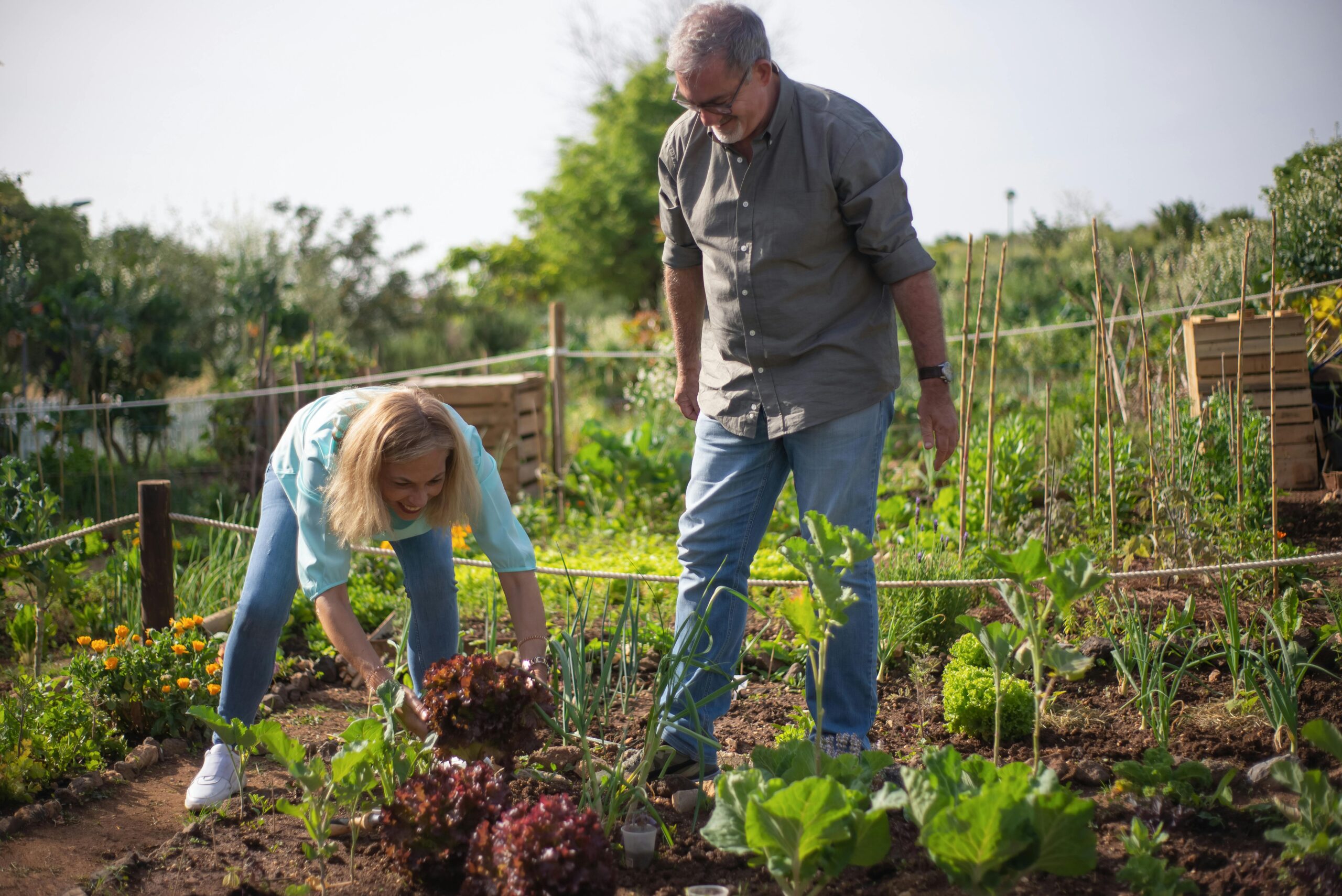 How Seniors Can Overcome Loneliness