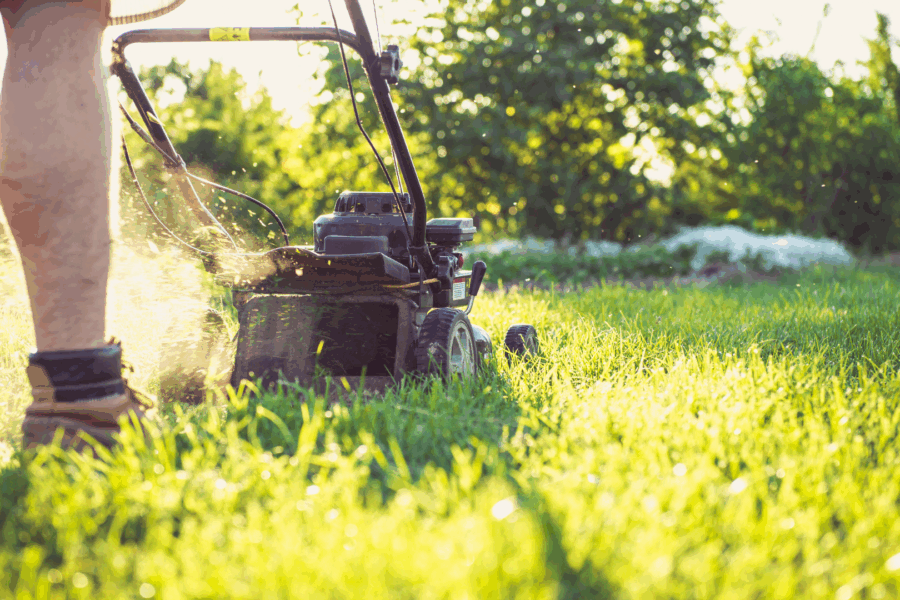Mowing the Lawn