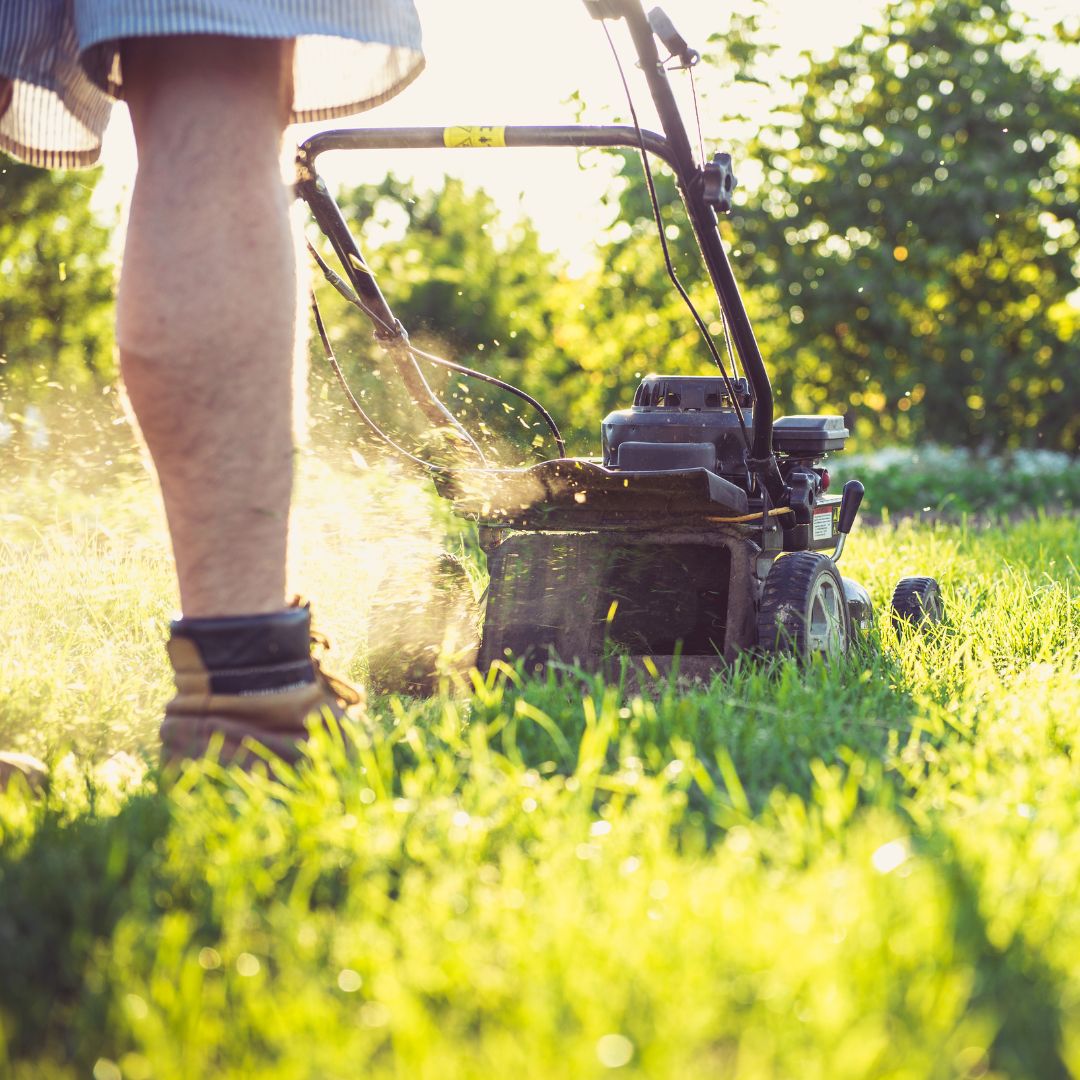 a senior man mowing the lawn