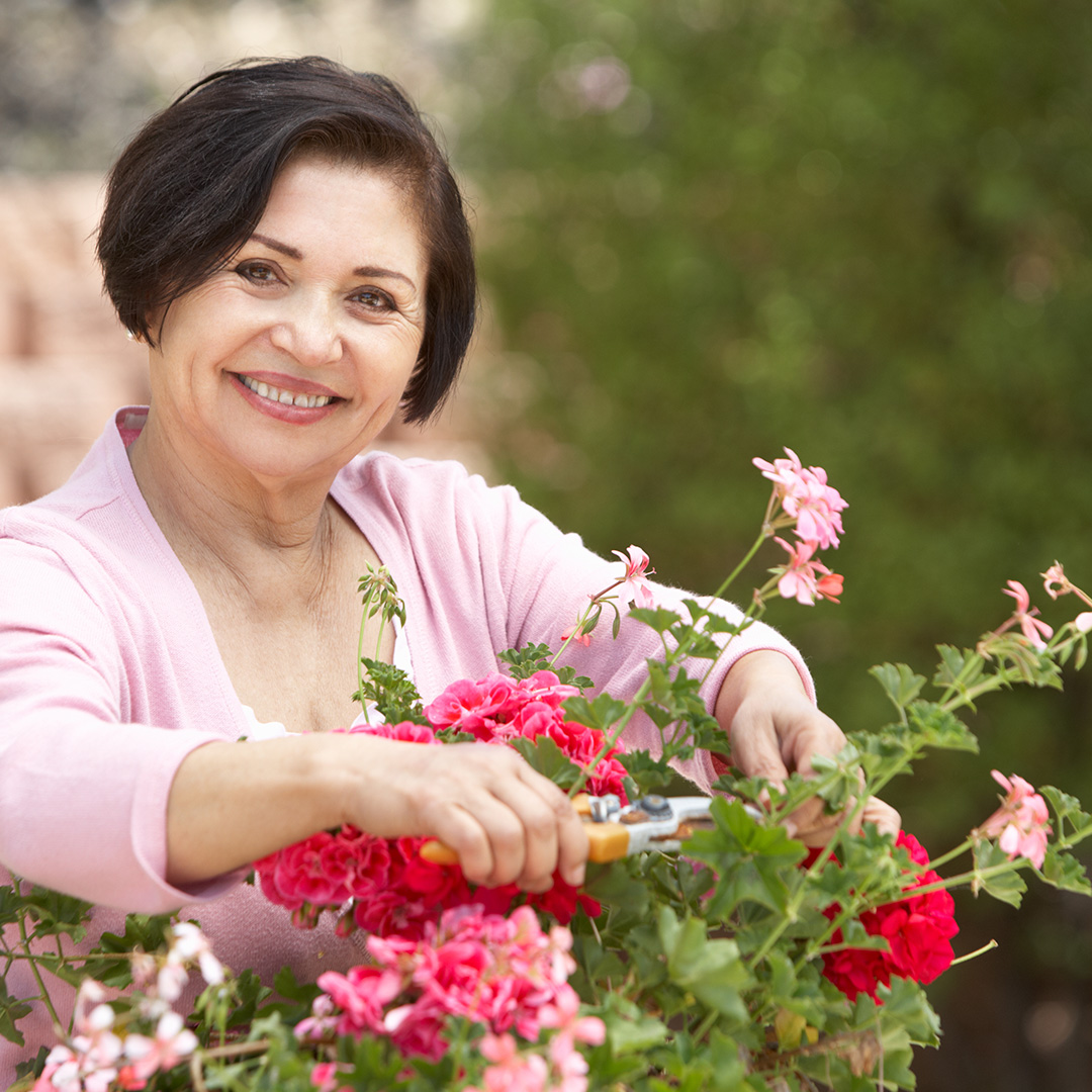 A smiling middle-aged woman with dark hair, wearing a pink cardigan, happily tending to vibrant pink and red geraniums with gardening shears, looking directly at the viewer with a blurred green background.