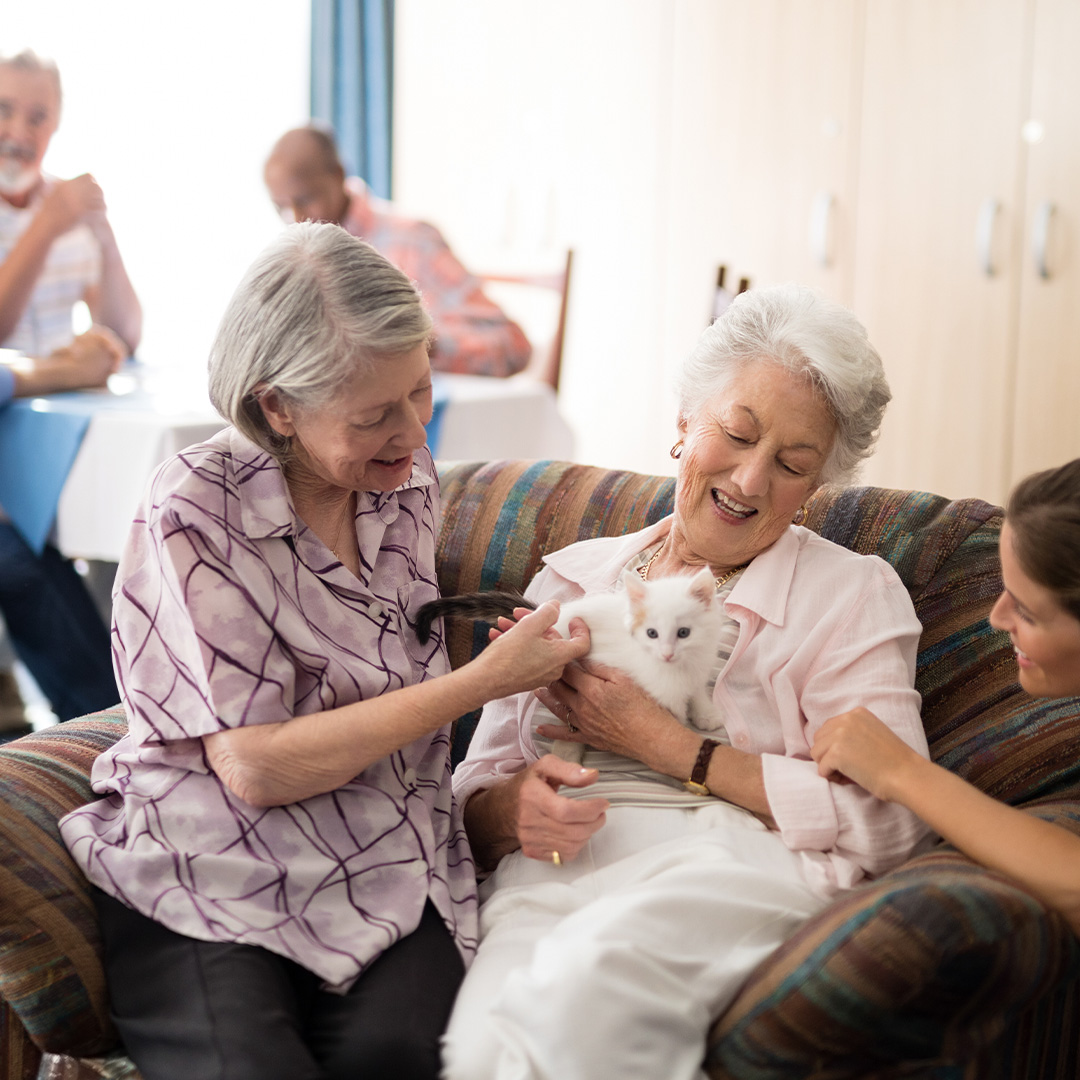 Three women, two seniors and one younger, happily interact with a small white kitten held by one of the senior women on a sofa.